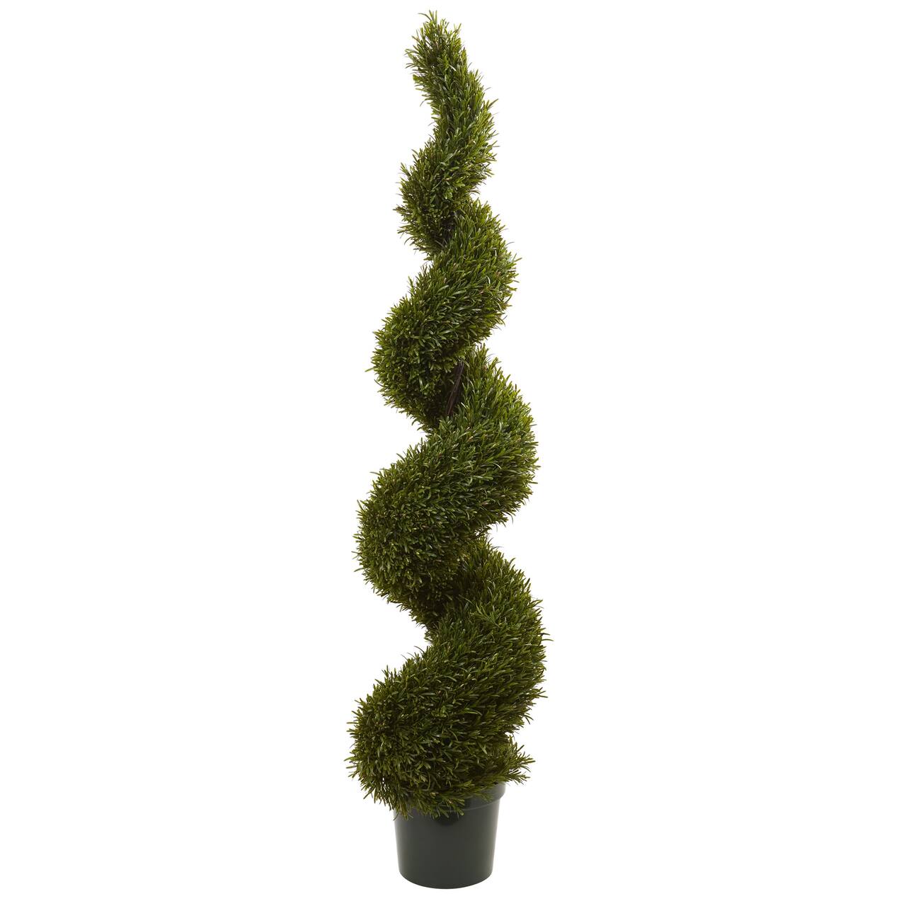 6ft. Potted Rosemary Spiral Tree